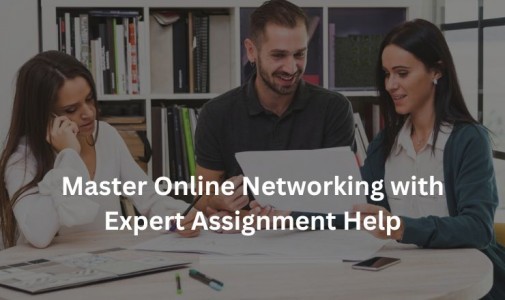 Master Online Networking with Expert Assignment Help