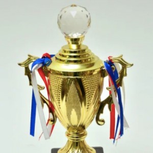Honor College Achievers With Specially Designed Trophies From CraftEarth