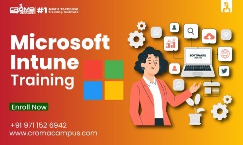 What are the Popular Applications of MS Intune?