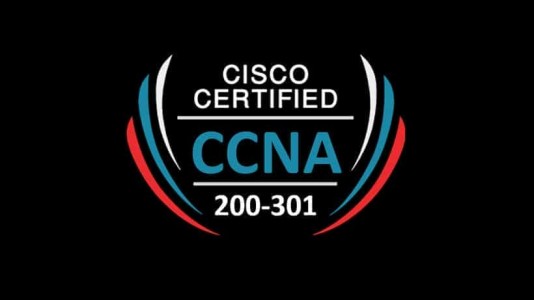 Boost Your IT Resume with Professional CCNA Training in Pune