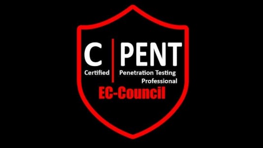 Master Advanced Penetration Skills with CPENT Training in Pune