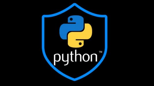 Python Course in Pune for IT Professionals