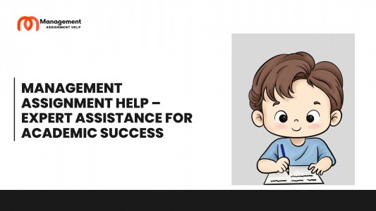 Management Assignment Help – Expert Assistance for Academic Success