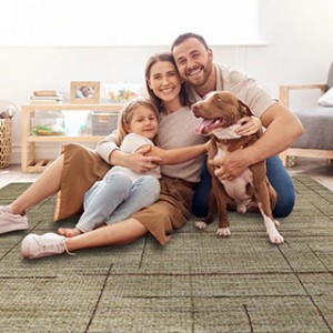 The Ultimate Guide to Buy Carpet Rugs Online for a Stylish Home Makeover