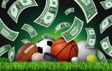 How to Complete Winbuzz Register Process Easily for Online Betting